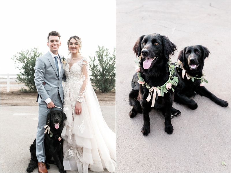 Madison + Gunnar | Windmill Winery Arizona Wedding
